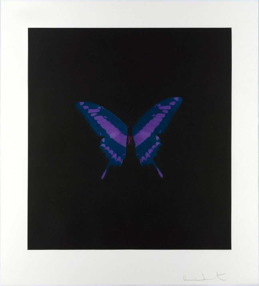 Damien Hirst, ‘Memento VI’, 2008, Print, Portfolio of 13 photogravure / colour etchings on Arches paper, null, Numbered