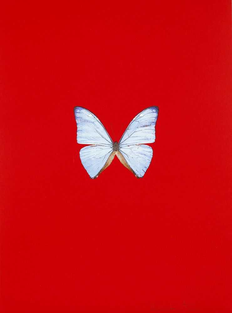 Damien Hirst, ‘New Beginnings VI (Red)’, 2011, Print, Polymer gravure block prints, Paragon Press, Numbered