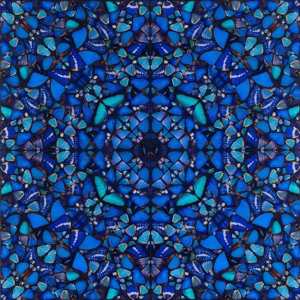 Damien Hirst, ‘Patience (H6 3)’, 09-06-2019, Print, Diasec mounted Pigment print on aluminium composite panel, Heni, Numbered