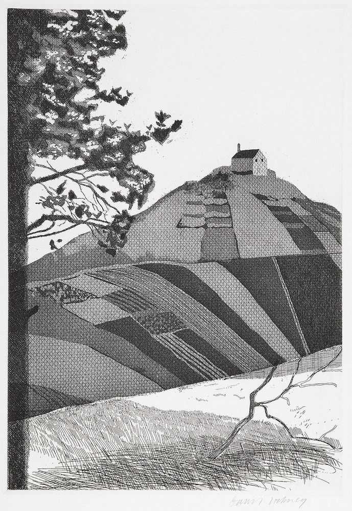 David Hockney, ‘A Wooded Landscape’, 1969, Print, Etching and aquatint, null, Numbered