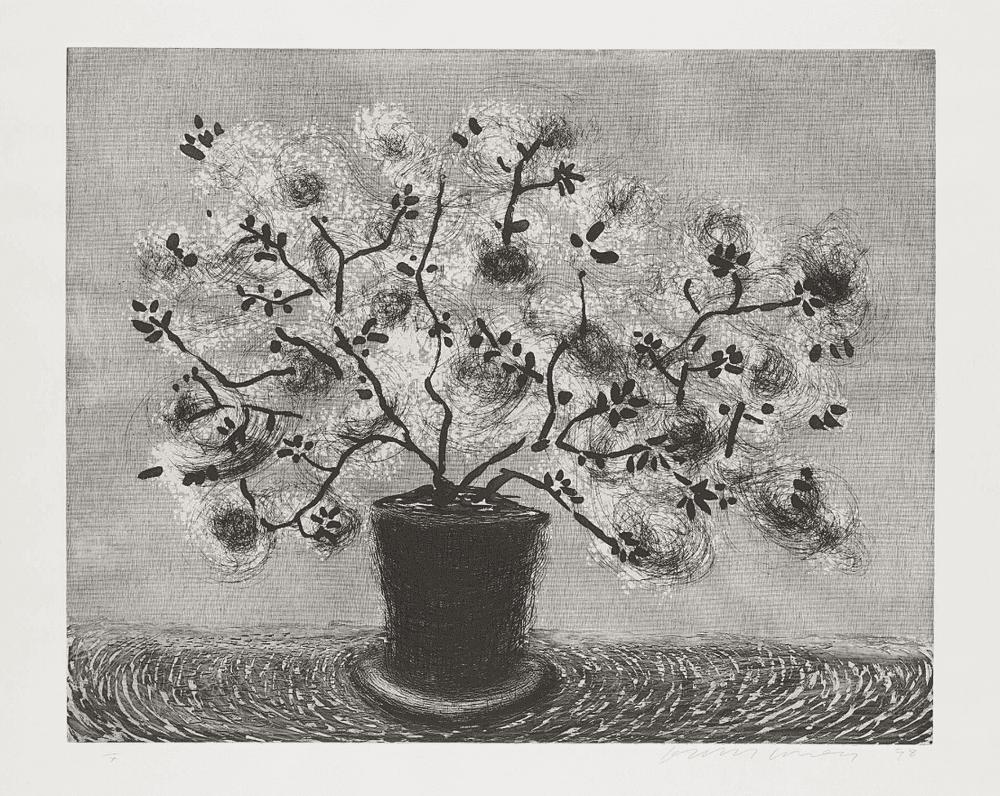 David Hockney, ‘Black Wire Plant’, 1998, Print, Etching and aquatint on Somerset, null, Numbered