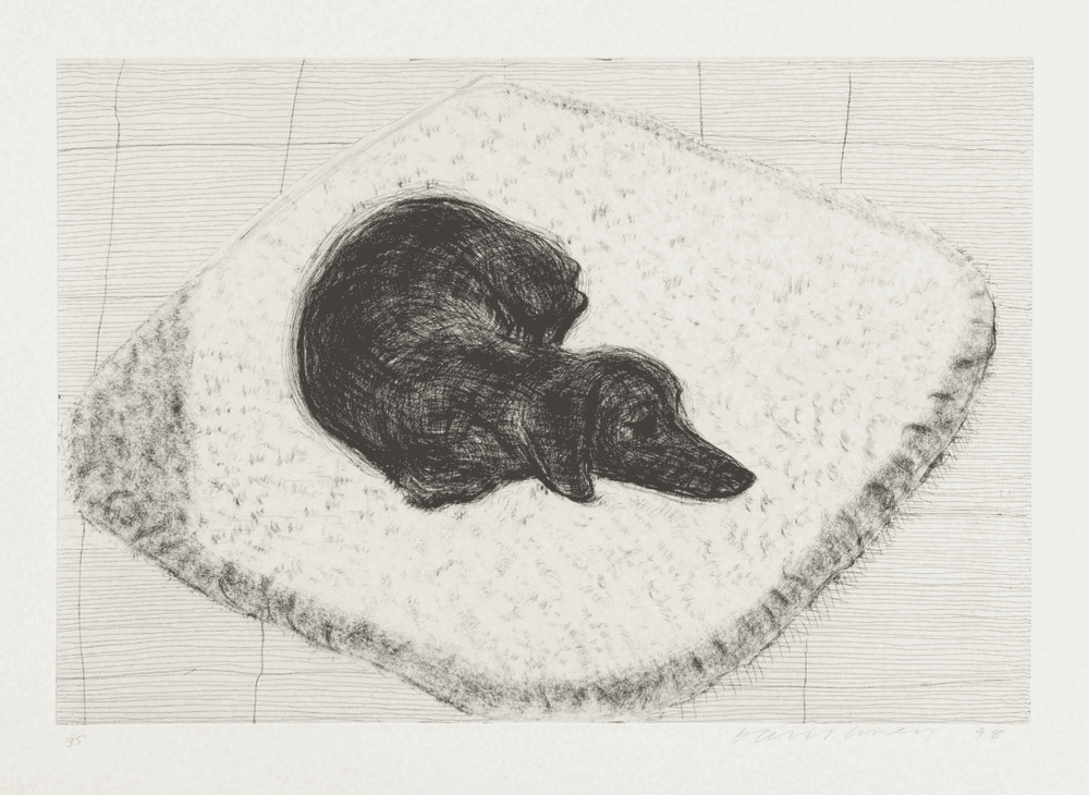 David Hockney, ‘Dog Etching No. 12’, 1998, Print, Etching printed on Somerset paper, null, Numbered