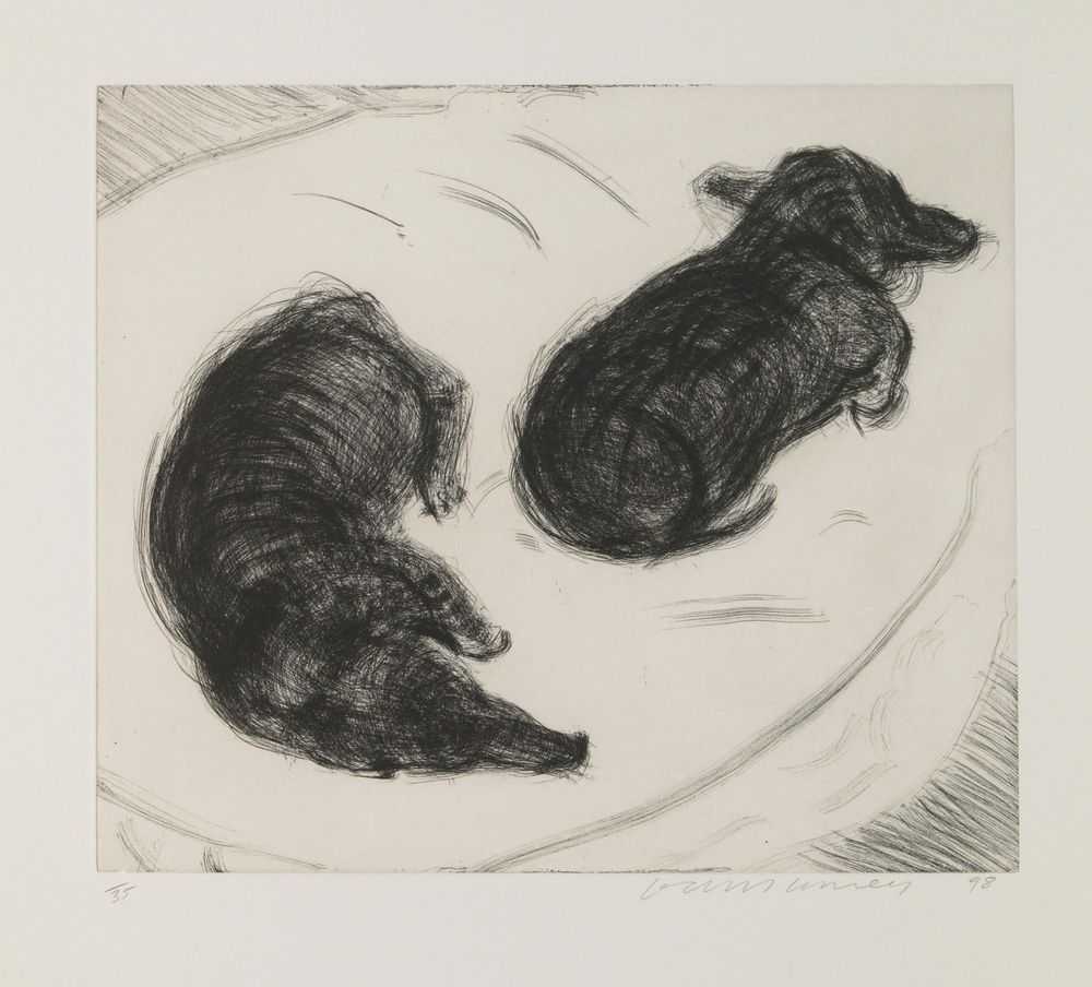 David Hockney, ‘Dog Etching No. 2’, 1998, Print, Etching printed on Somerset paper, null, Numbered