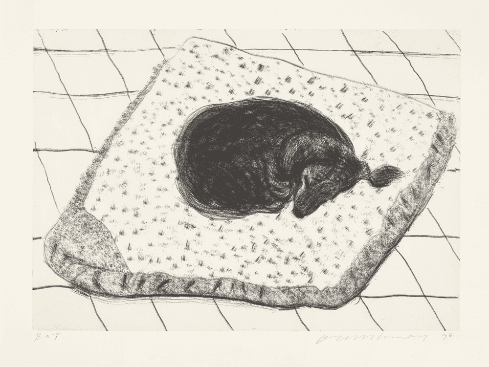 David Hockney, ‘Dog Etching No. 4’, 1998, Print, Etching printed on Somerset paper, null, Numbered