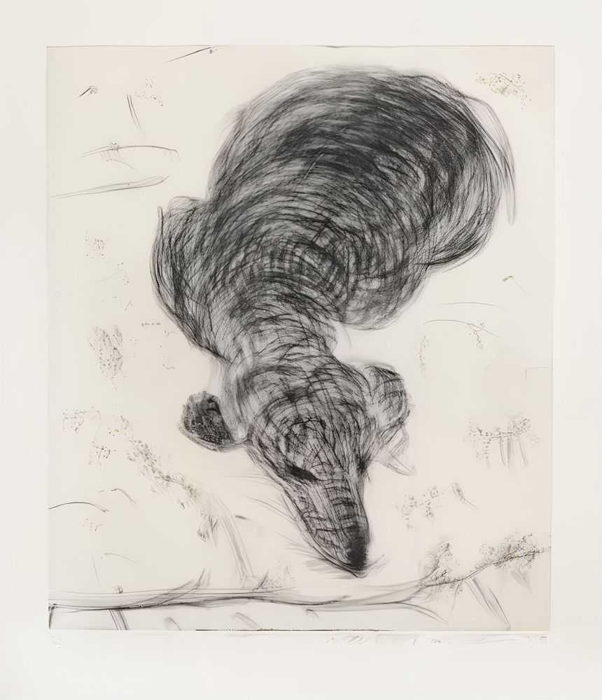 David Hockney, ‘Dog Etching No. 7’, 1998, Print, Etching printed on Somerset paper, null, Numbered