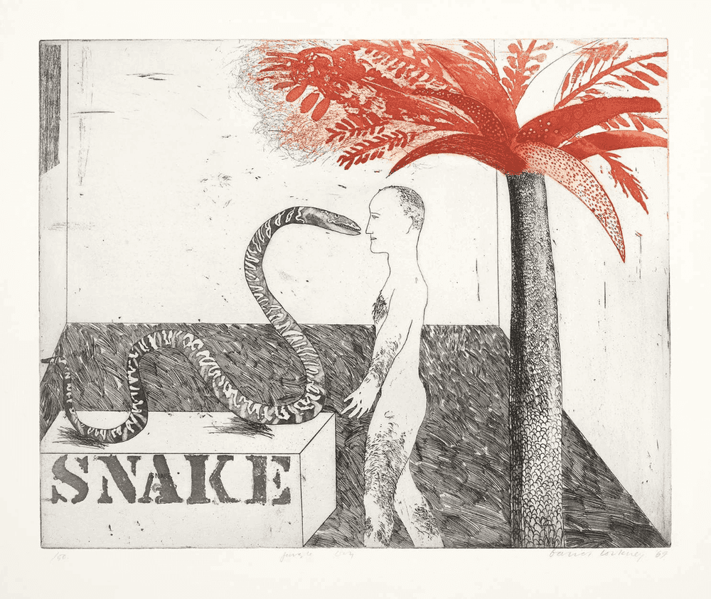David Hockney, ‘Jungle Boy’, 1964, Print, Printed on mould-made paper, null, Numbered