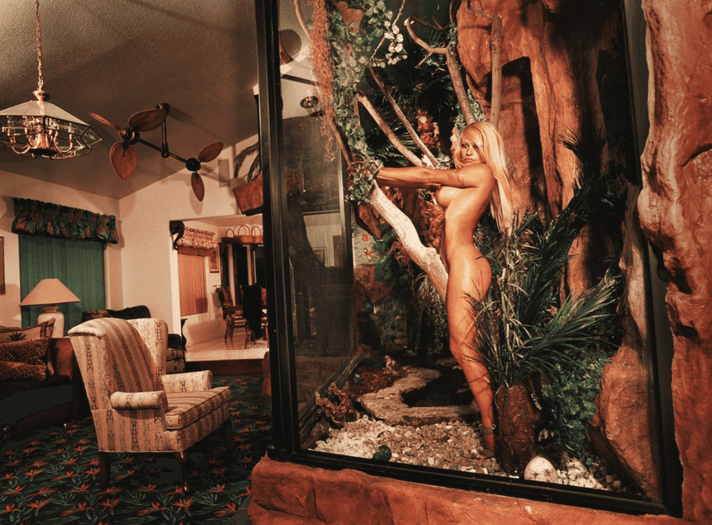 David LaChapelle, ‘Pamela Anderson - Secret Garden’, 2001, Print, C-print on diasec with 2x4mm plexiglass, null, Numbered
