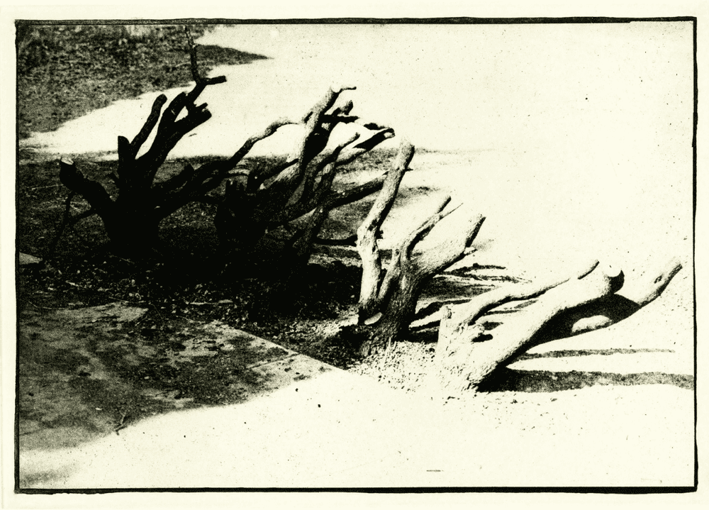 David Lynch, ‘Untitled #6’, 1999, Print, Photogravure, Tandem Press, 