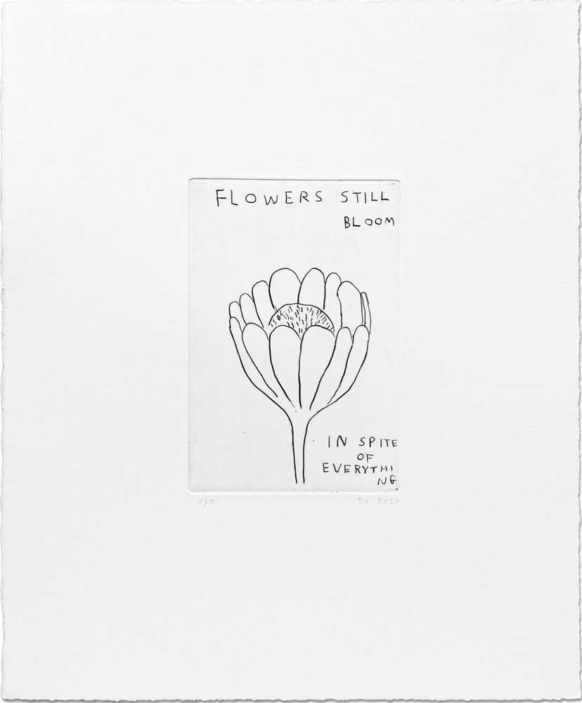 David Shrigley, ‘Flowers Still Bloom’, 2020, Print, Etching on 250gsm Somerset Paper, Schaefer Grafik, Numbered, Dated