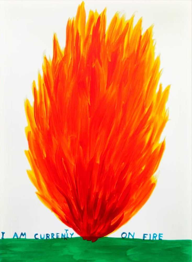 David Shrigley, ‘I Am Currently On Fire’, 2018, Print, 15 Colour Screenprint with 2 Varnish Overlays on Somerset Tub Sized 410gsm Paper, Jealous Gallery x Enitharmon Editions, Numbered, Dated