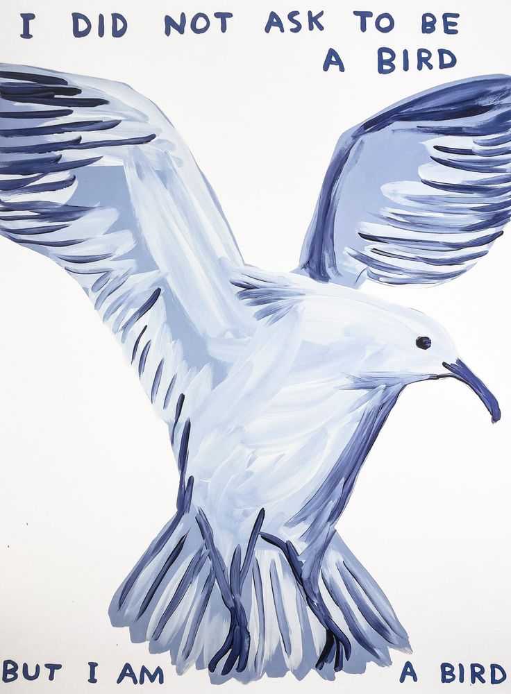 David Shrigley, ‘I Did Not Ask To Be a Bird’, 2022, Print, Offset Lithograph on 200gsm matte Arctic Volume fine art paper., null, 
