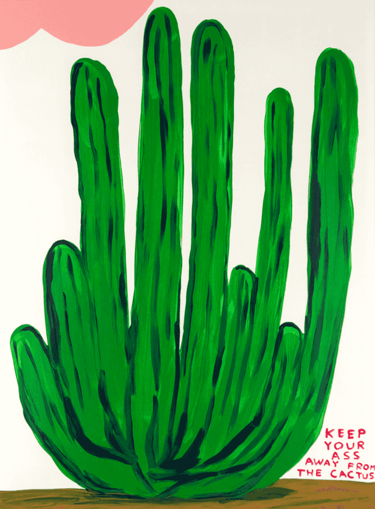 David Shrigley, ‘Keep Your Ass Away From The Cactus’, 2020, Print, Screenprint on Kakita Paper 300gsm, DDT, Numbered