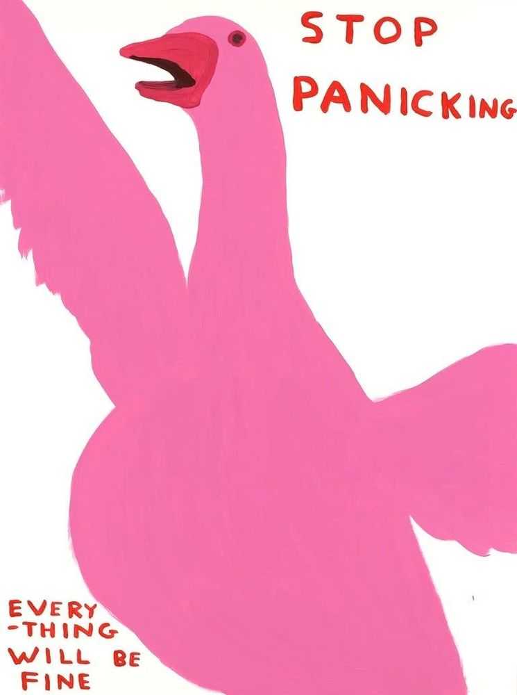 David Shrigley, ‘Stop Panicking’, 2021, Print, 12 Colour Screenprint with a Varnish Overlay on Somerset Satin Tub Sized 410gsm Paper, Jealous Gallery, Numbered, Dated