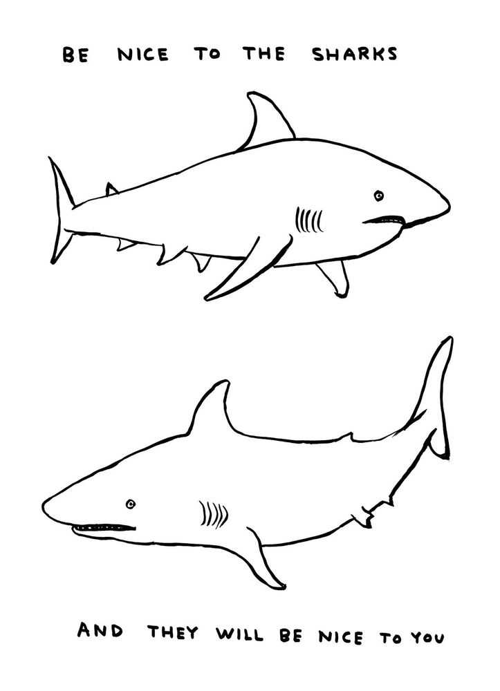 David Shrigley, ‘Untitled (Be Nice To The Sharks)’, 2023, Print, Off-set lithography on 200g Munken Lynx, Shrig Shop, 