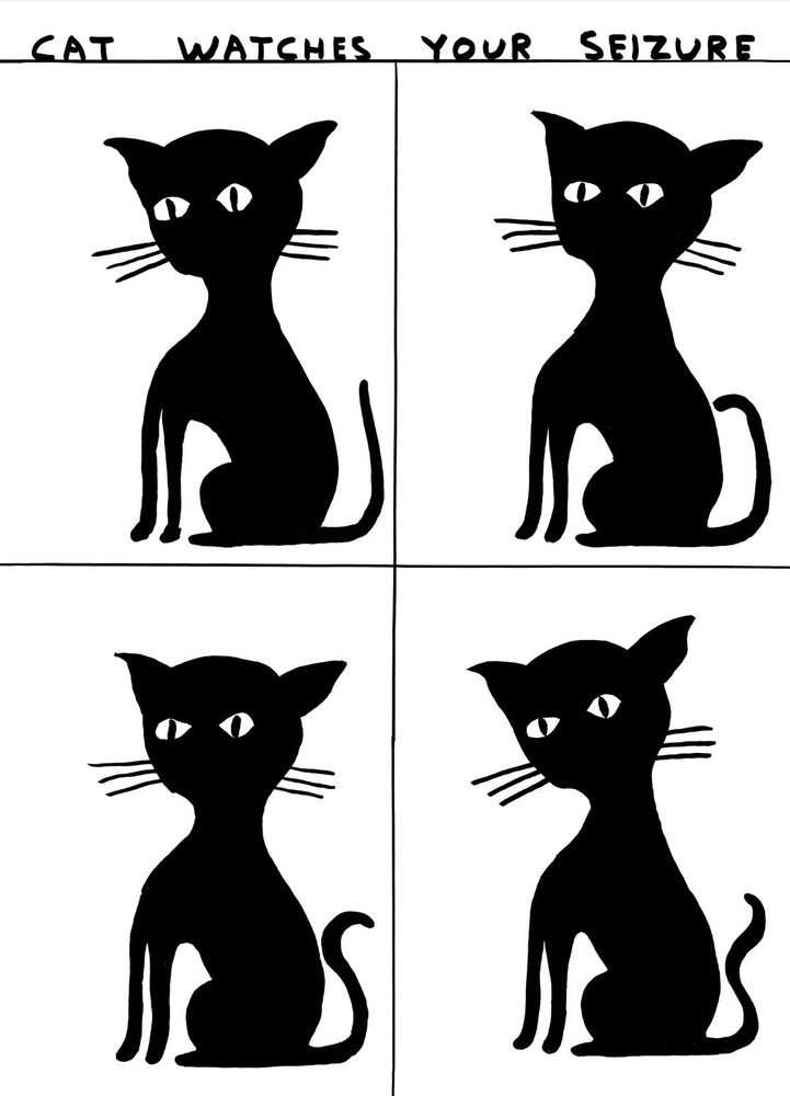 David Shrigley, ‘Untitled (Cat Watches Your Seizure)’, 2023, Print, Off-set lithography on 200g Munken Lynx, Shrig Shop, 