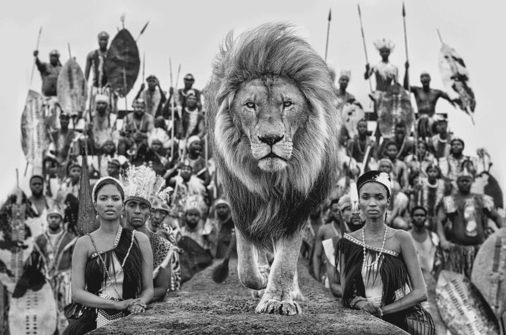 David Yarrow, ‘Catwalk’, 2021, Print, Archival Pigment Print, null, 