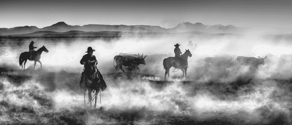 David Yarrow, ‘Drovers’, 2021, Print, Archival Pigment Print, null,