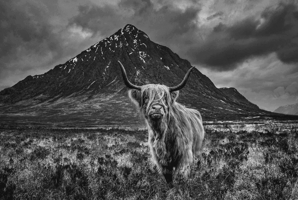 David Yarrow, ‘Glencoe ’, 2019, Print, Digital Pigment Print on Archival 315gsm Hahnemuhle Photo Rag Baryta Paper, null,