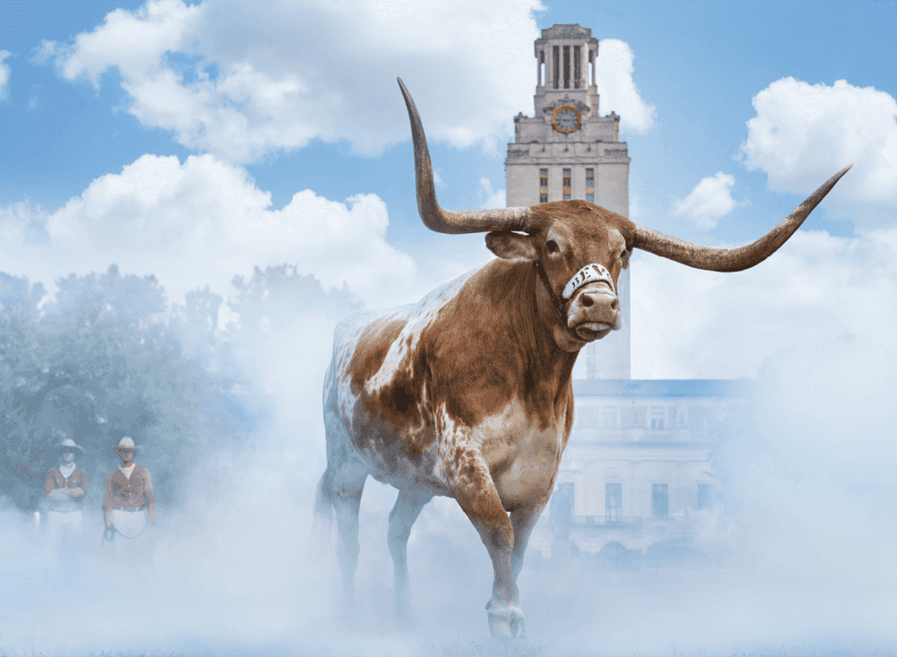 David Yarrow, ‘Hook 'Em Horns (Colour)’, 2024, Print, Archival Pigment Print, null, 