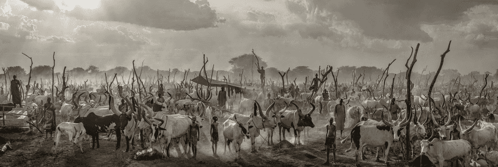 David Yarrow, ‘Manchild’, 2022, Print, Archival Pigment Print, null, 