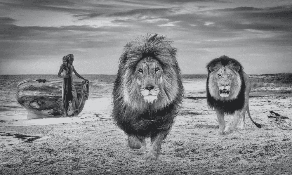 David Yarrow, ‘The Old Man and the Sea’, 2022, Print, Archival Pigment Print, null, 