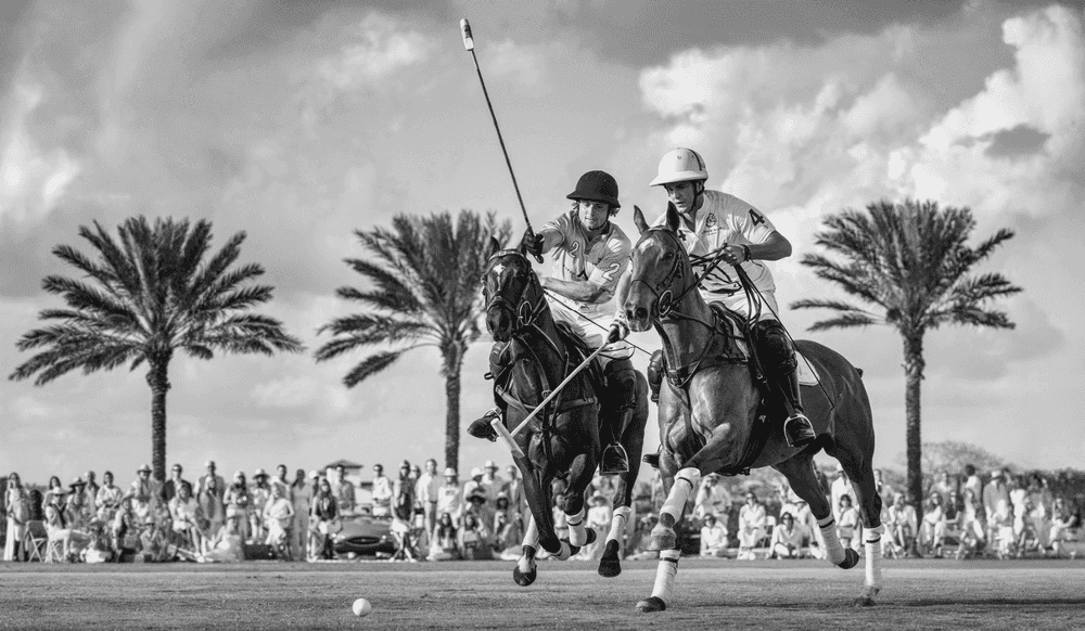 David Yarrow, ‘Wellington’, 2025, Print, Archival Pigment Print, null,