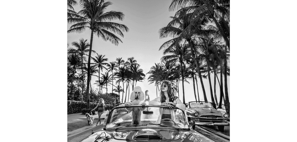 David Yarrow, ‘Worth Avenue’, 2025, Print, Archival Pigment Print, null, 