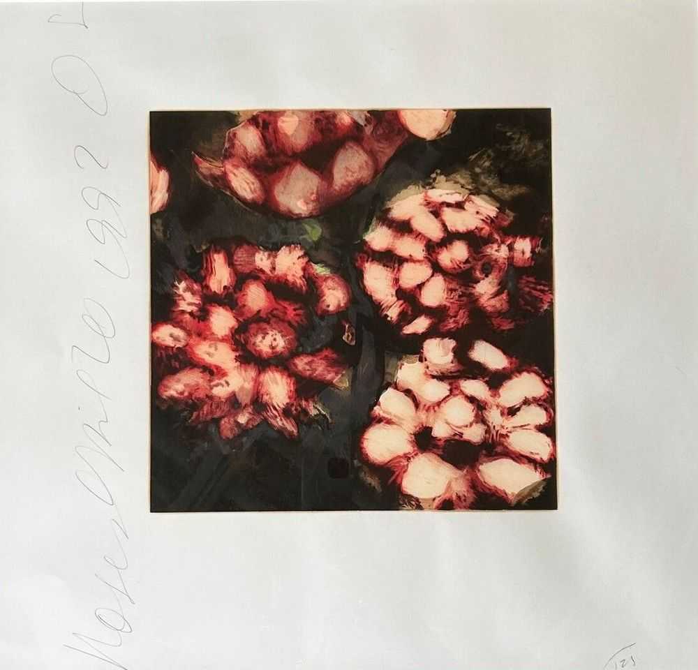 Donald Sultan, ‘Roses’, 1992, Print, Screenprint, null, Numbered, Dated