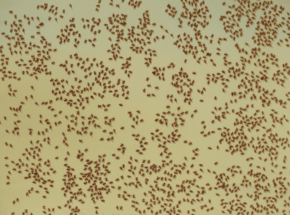 Ed Ruscha, ‘Insects (Red Ants)’, 1972, Print, Screenprint on Wove Paper, Multiples Inc., Numbered, Dated