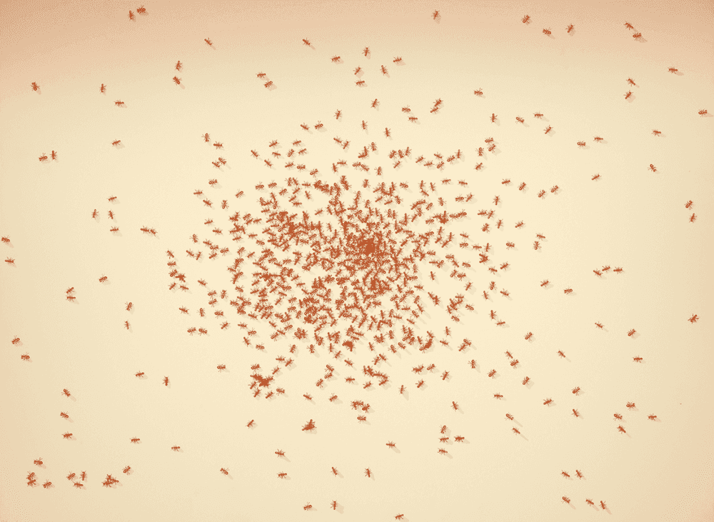 Ed Ruscha, ‘Insects (Swarm of Red Ants)’, 1972, Print, Screenprint, null, Numbered, Dated