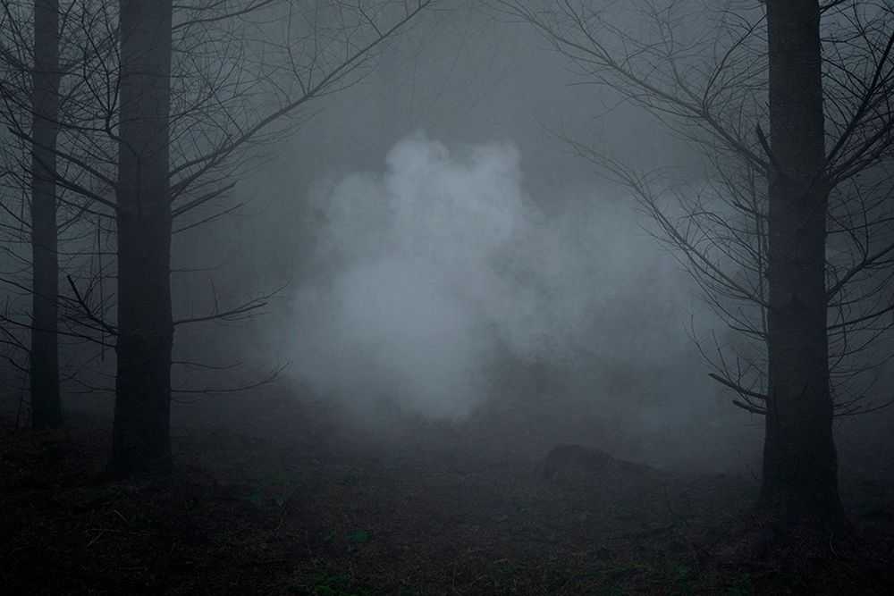 Ellie Davies, ‘Between The Trees Tryptic 2 (Small)’, 2013, Print, C-Type Lightjet Print, null, 