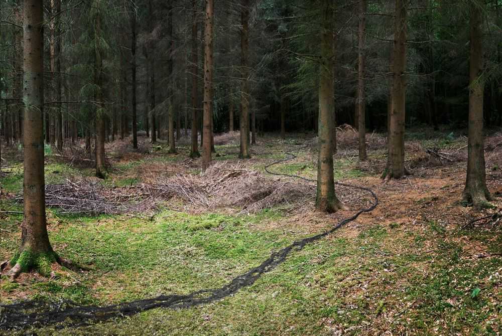 Ellie Davies, ‘Come with Me 3’, 2011, Print, C-Type Lightjet Print, null, 