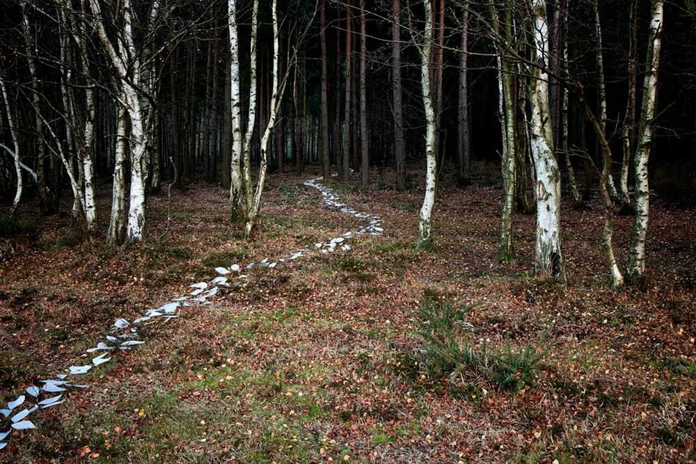 Ellie Davies, ‘Come with Me 6’, 2011, Print, C-Type Lightjet Print, null, 