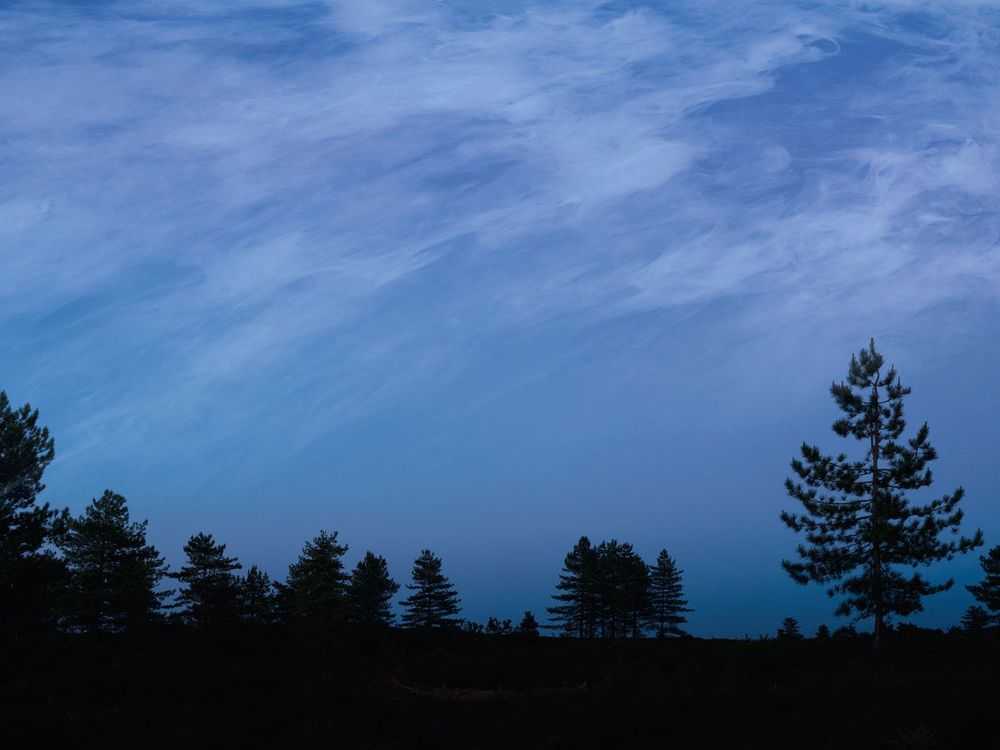 Ellie Davies, ‘Ebb & Flow 2 (Large)’, 2025, Print, Digital Type C print on Fuji Maxima Matt Paper, null, 