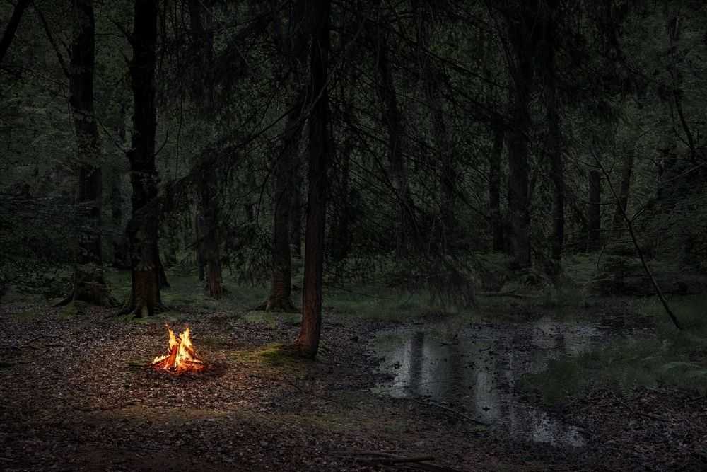 Ellie Davies, ‘Fires 2 (Large)’, 2018, Print, C-Type Lightjet Print, null, 