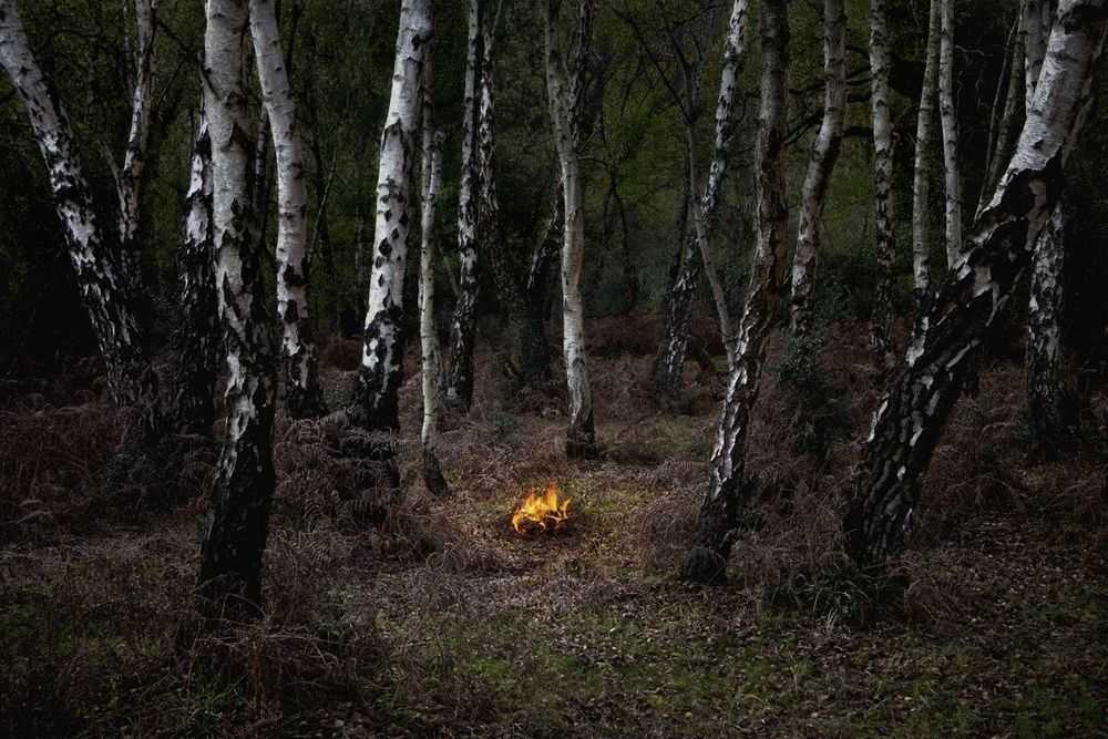 Ellie Davies, ‘Fires 6 (Large)’, 2018, Print, C-Type Lightjet Print, null, 