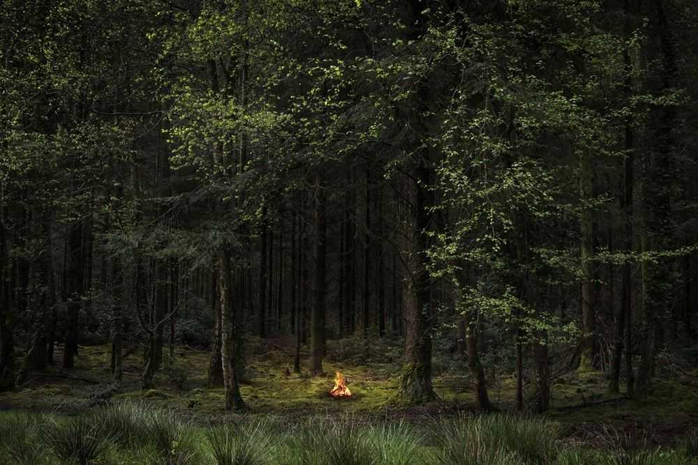 Ellie Davies, ‘Fires 8 (Small)’, 2018, Print, C-Type Lightjet Print, null, 