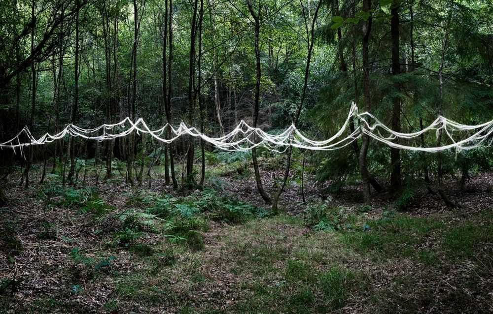 Ellie Davies, ‘Knit One, Pearl One 1’, 2011, Print, C-Type Lightjet Print, null, 