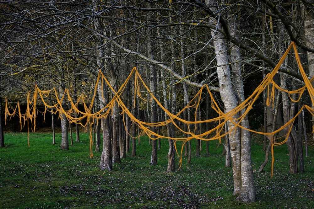 Ellie Davies, ‘Knit One, Pearl One 2’, 2011, Print, C-Type Lightjet Print, null, 