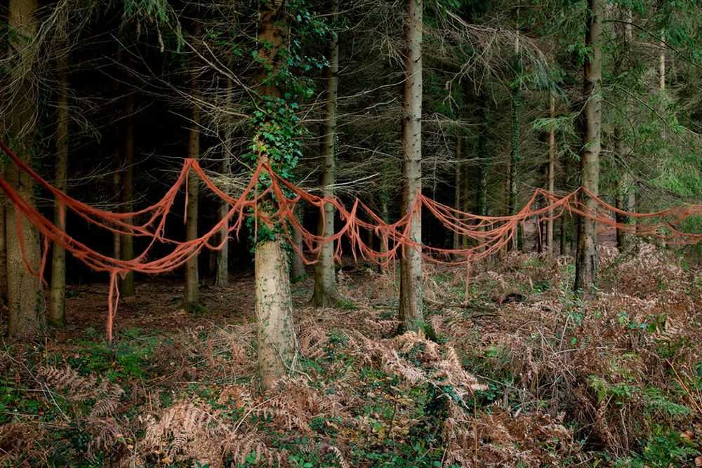 Ellie Davies, ‘Knit One, Pearl One 9’, 2011, Print, C-Type Lightjet Print, null, 