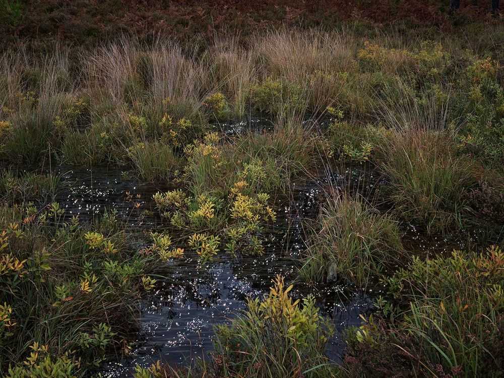 Ellie Davies, ‘Seascapes 4 (Small)’, 2020, Print, Archival pigment print, null, 