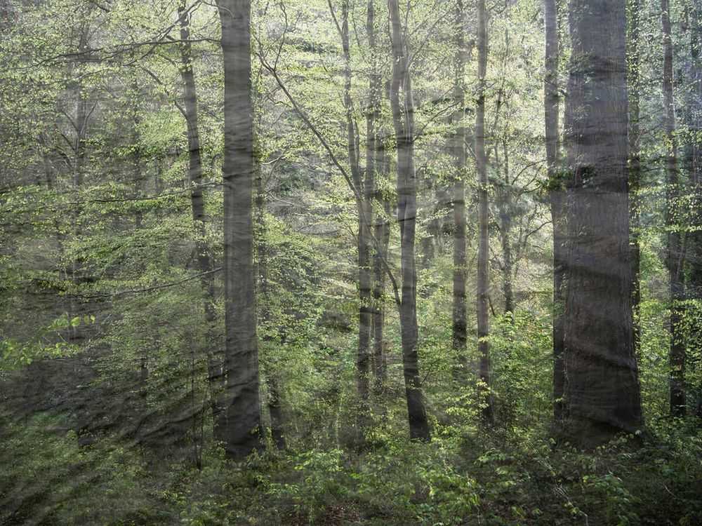 Ellie Davies, ‘Seascapes 5 (Small)’, 2020, Print, Archival pigment print, null, 