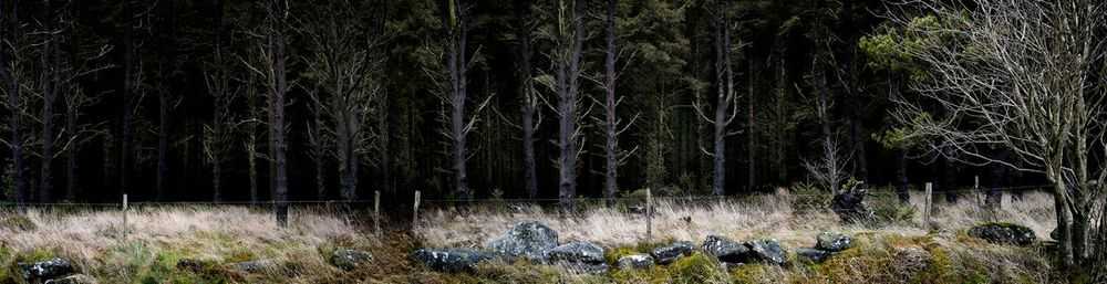 Ellie Davies, ‘Silent, Dark and Deep 7 (Small)’, 2009, Print, C-Type Lightjet Print, null, 
