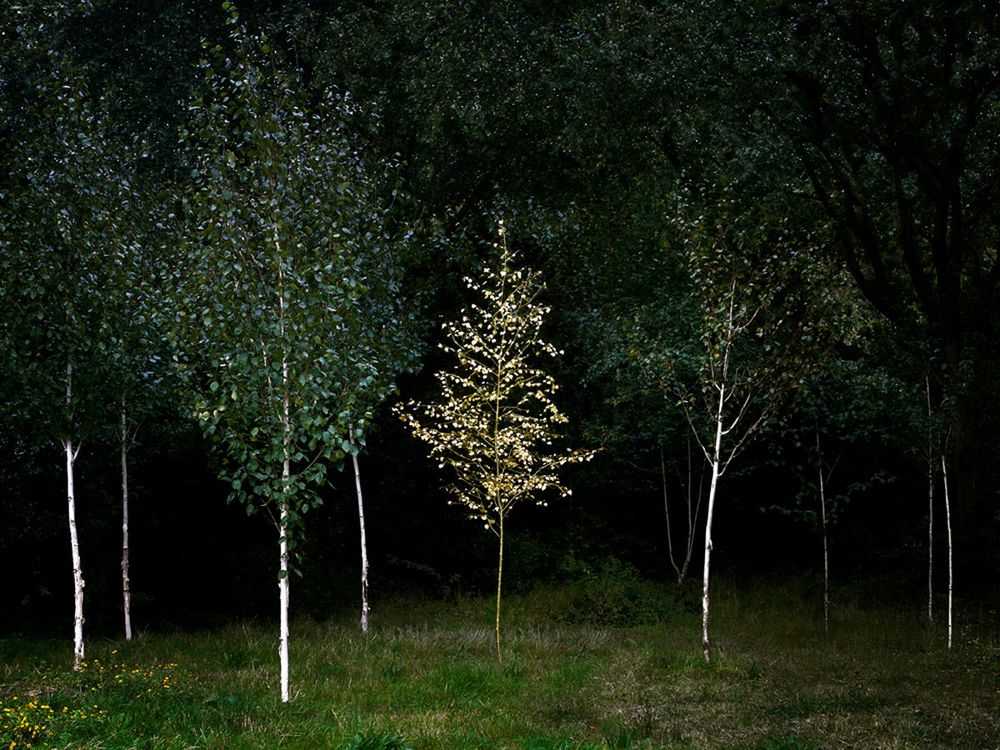 Ellie Davies, ‘Smoke and Mirrors 3’, 2010, Print, C-Type Lightjet Print, null, 