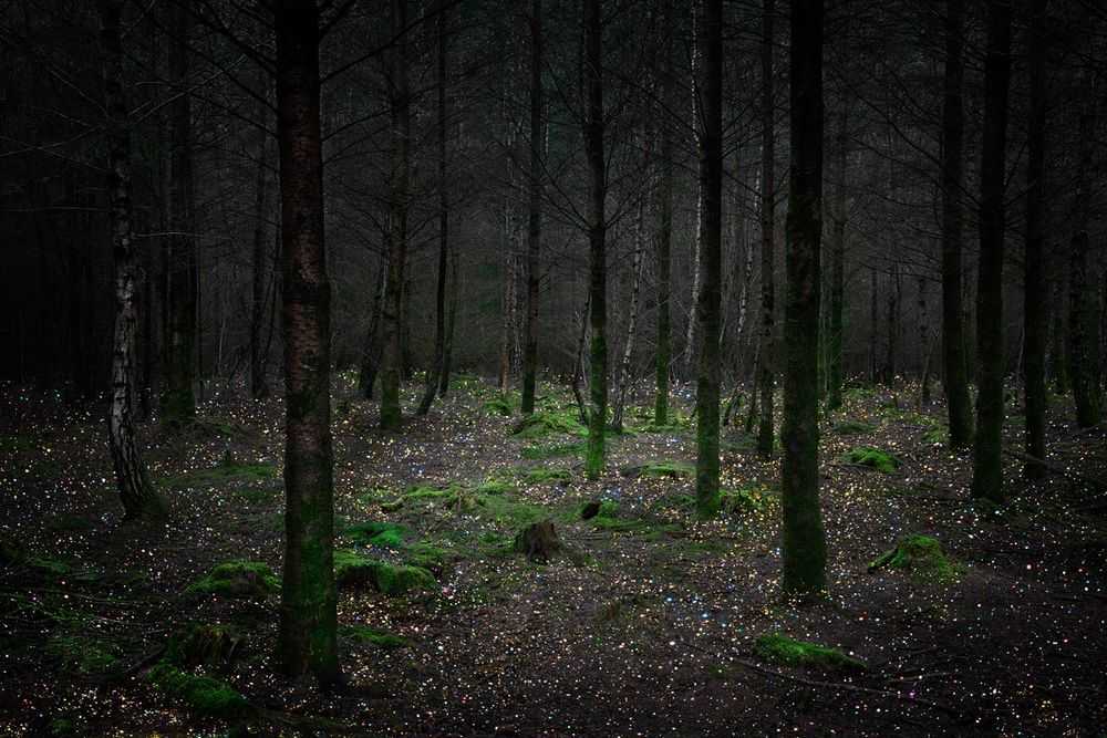 Ellie Davies, ‘Stars 11 (Large)’, 2015, Print, C-Type Lightjet Print, null, 