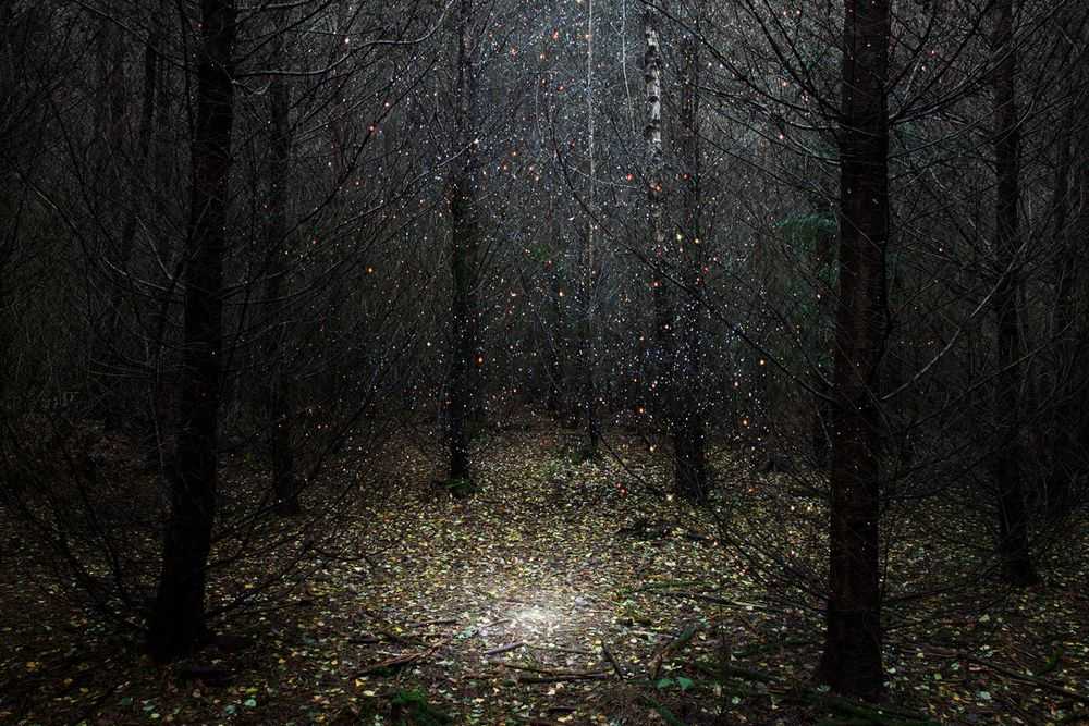 Ellie Davies, ‘Stars 1 (Small)’, 2014, Print, C-Type Lightjet Print, null, 