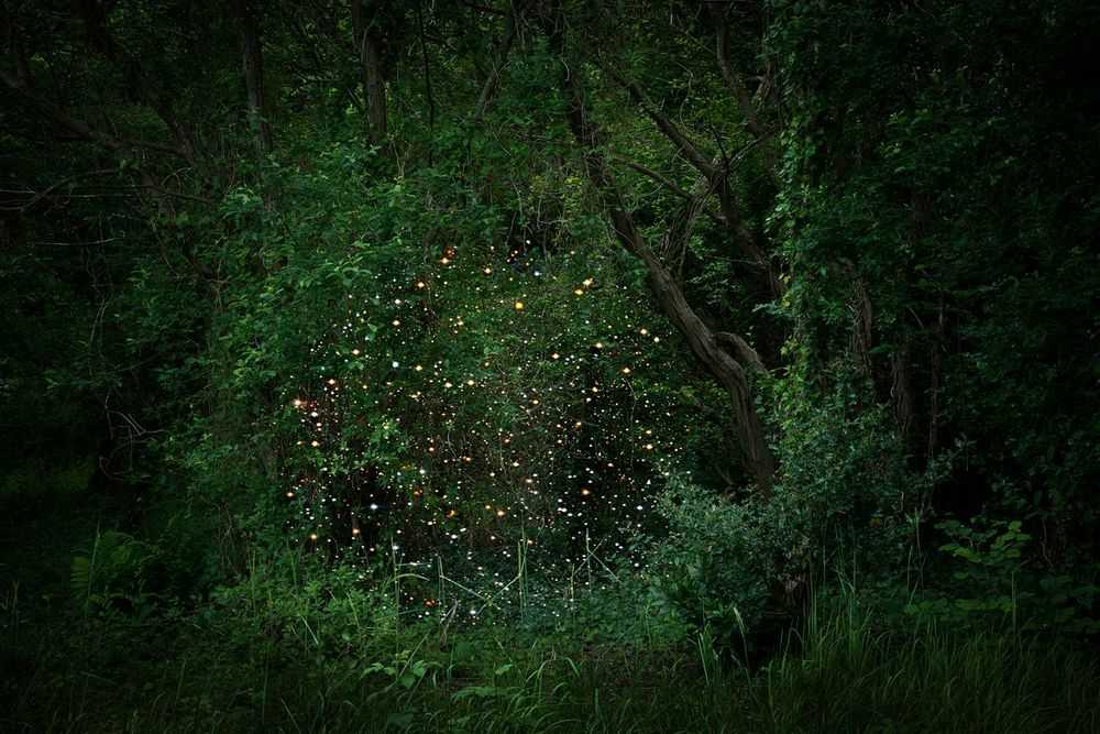 Ellie Davies, ‘Stars 2 (Small)’, 2014, Print, C-Type Lightjet Print, null, 