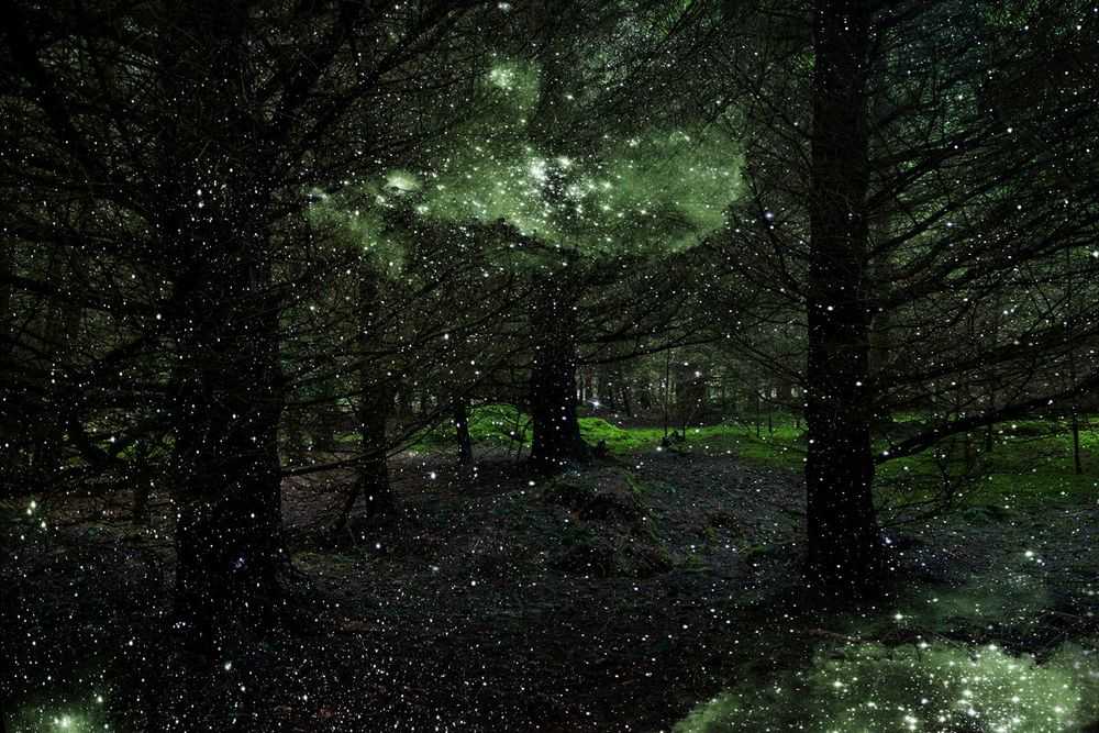 Ellie Davies, ‘Stars 3 (Small)’, 2014, Print, C-Type Lightjet Print, null, 
