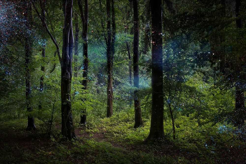 Ellie Davies, ‘Stars 9 (Large)’, 2014, Print, C-Type Lightjet Print, null, 