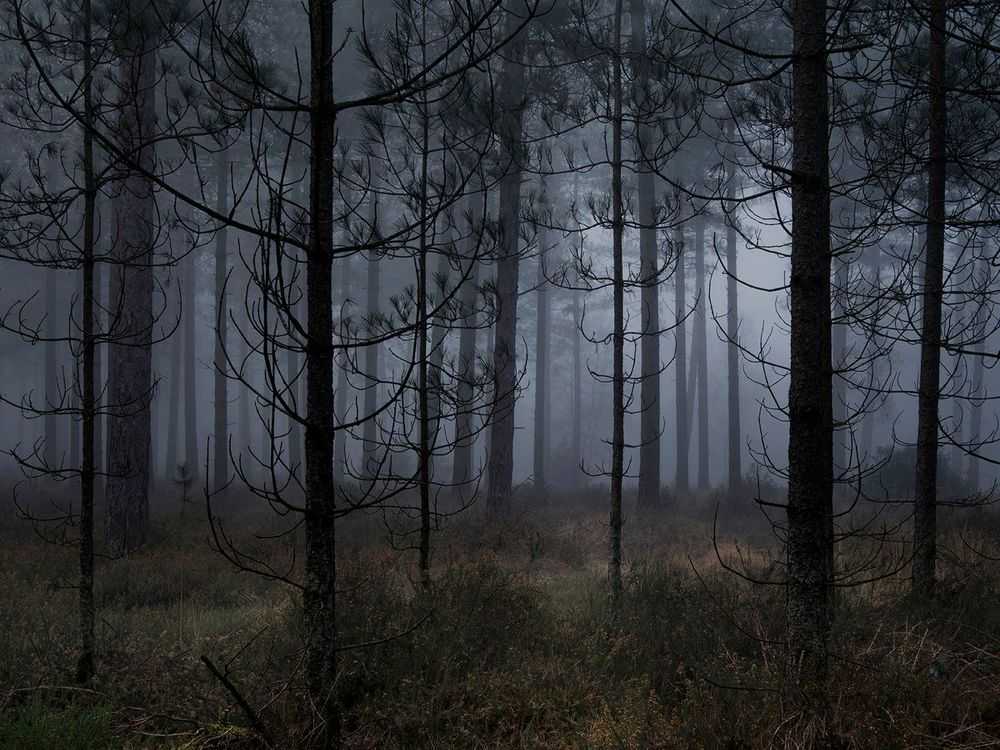 Ellie Davies, ‘Stillness 1 (Small)’, 2020, Print, Archival pigment print, null, 